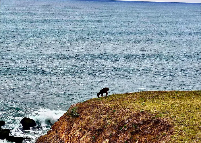 Inn Of The Lost Coast