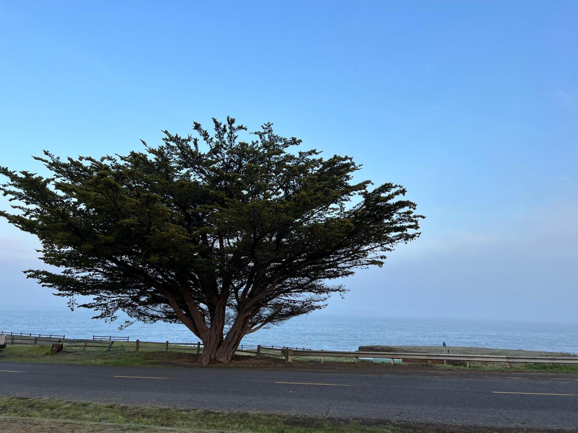 Of The Lost Coast Inn